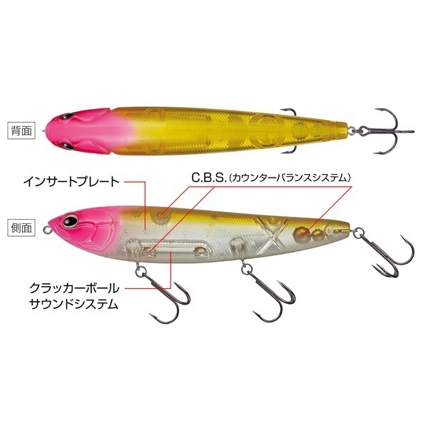 アマゾン ボーンモデル